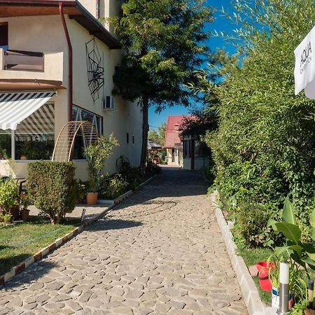 Pension Motanul Galanton Snagov Zewnętrze zdjęcie