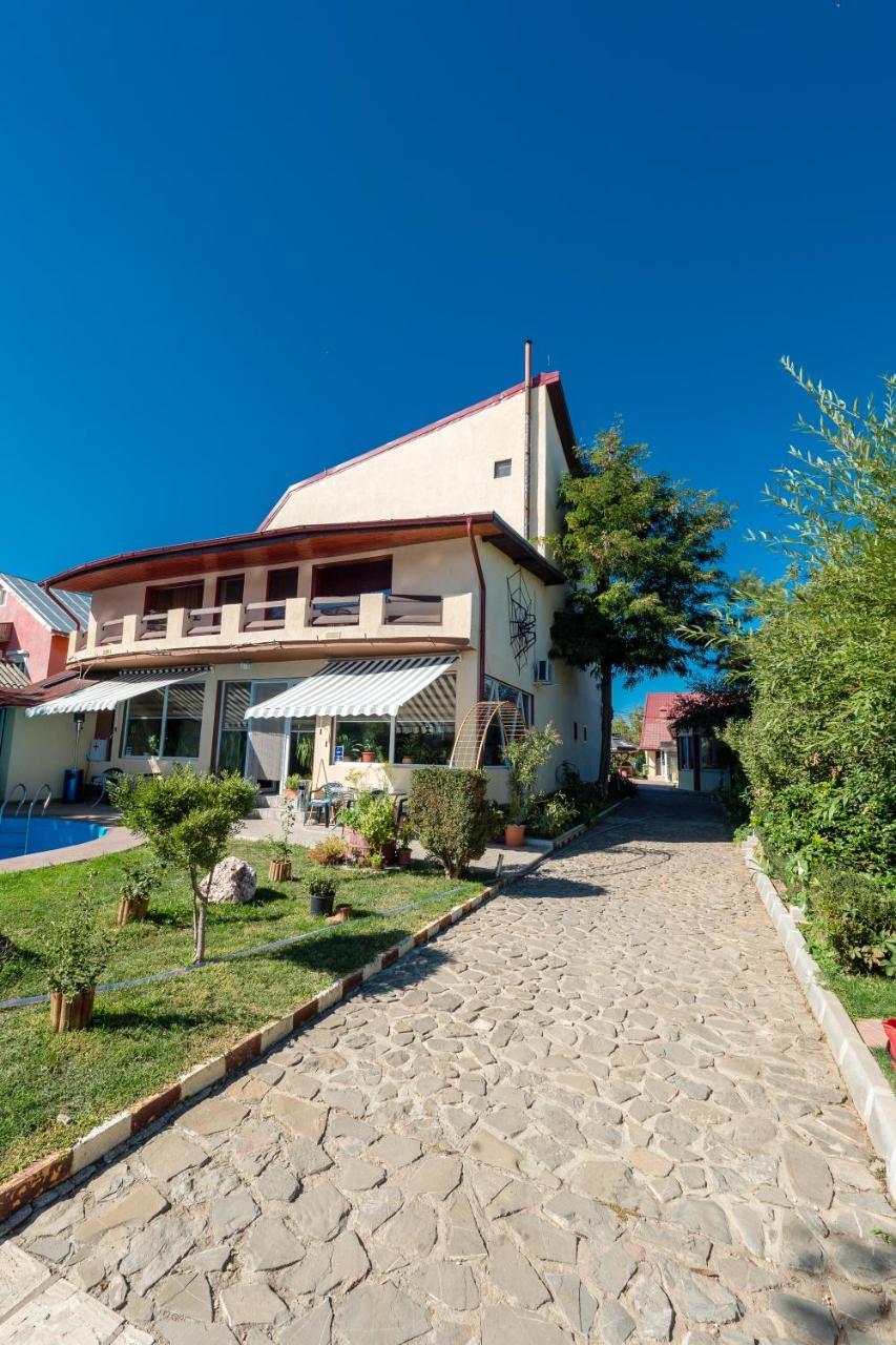 Pension Motanul Galanton Snagov Zewnętrze zdjęcie