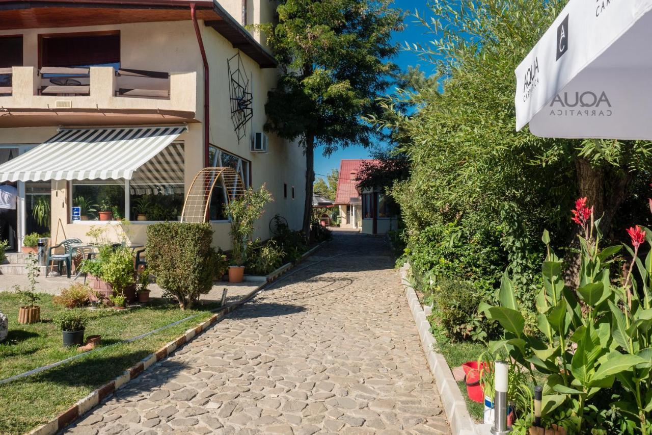 Pension Motanul Galanton Snagov Zewnętrze zdjęcie
