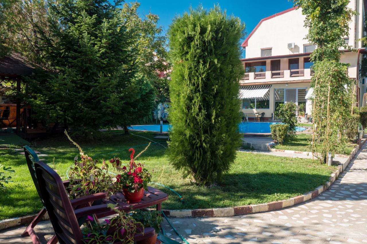 Pension Motanul Galanton Snagov Zewnętrze zdjęcie